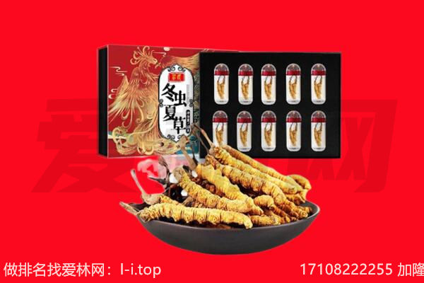 哈尔滨冬虫夏草回收